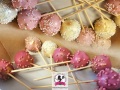 cakepops-1