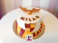 tort-marzenie-dla-dzieci-176-harry-potter