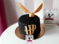 tort-marzenie2-harrry-potter-1